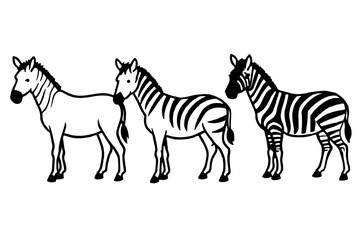 zebra line art silhouette illustration