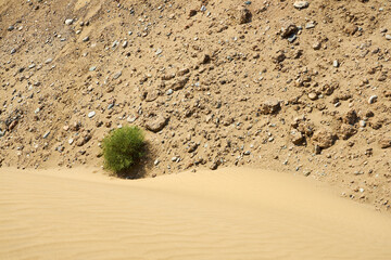 The texture of sand in the desert as a natural background.