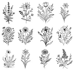 flowers herbs plants leaves wild flowers, vector black and white with transparent background, monochrome colorless illustration, decorative shape sketch for laser cutting engraving and printing