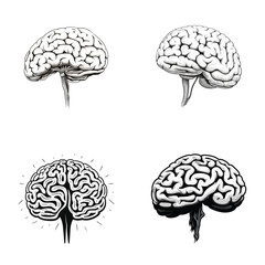 brain vector set. Outline set of brain vector for web design isolated on white background