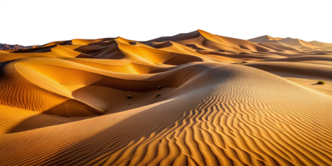 stunning desert landscape dunes sand mountains wavy sand surface transparent background
