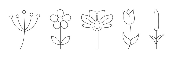 Floral elements. Minimal botanical flower set. Vector illustration