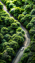 Aerial view of car driving down road in the middle of forest.