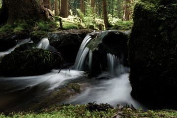A tranquil waterfall nestled in a forest, enhancing the natural landscape