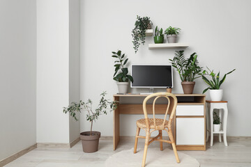 Interior of light office with workplace, shelves and green plants