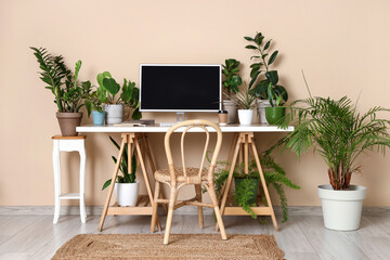 Blank computer monitor with green houseplants on table near beige wall in office