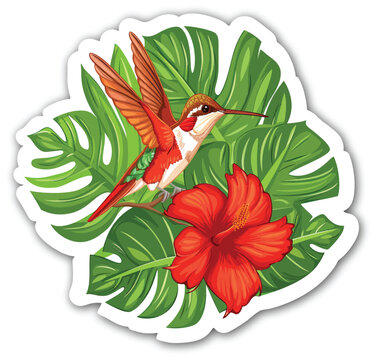 recommend clip art: A hummingbird with a flower on a branch sticker illustration