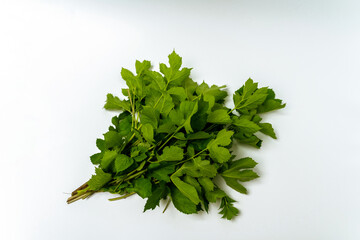 eosuli, green wild vegetables close-up, white background