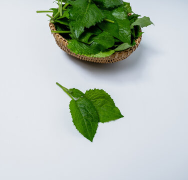 Chwinamul, green leaves close-up