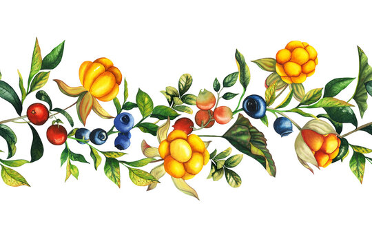 Watercolor seamless border with hand drawn cowberry, cranberry and blueberry with berries, leaves, branches. Botanical forest berry illustration on white isolated background. Good for wrapping paper