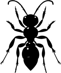 Hard working ant black and white icon isolated on white background