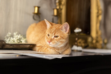 A ginger cat lies on the piano with its paws tucked under itself.