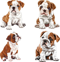 brown and white bulldog puppy is sitting down, clipart