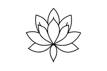 zenobia flower vector illustration