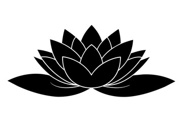 water lily vector illustration