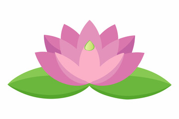 water lily vector illustration