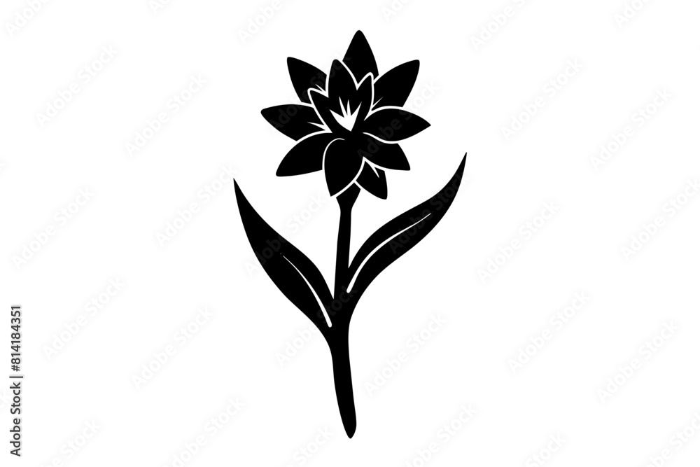 Wall mural tuberose flower vector illustration