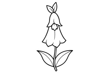 foxglove flower vector illustration