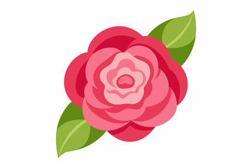 camellia flower vector illustration