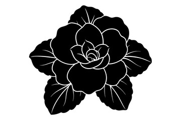 begonia flower vector illustration