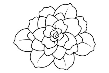 begonia flower vector illustration