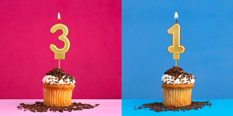 Two birthday cupcakes with the number 3 and 1 - Blue and pink background