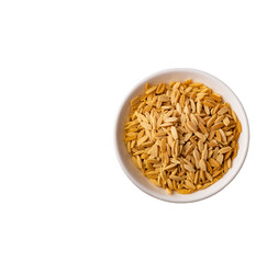 Italian dry risoni pasta - Raw Orzo in the bowl