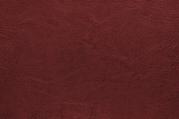 Genuine red leather texture, natural animal skin, luxury vintage cowhide background. Eco friendly...