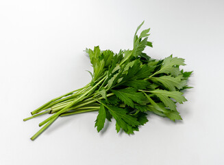 sam-ipgughwa, green wild vegetables close-up, white background