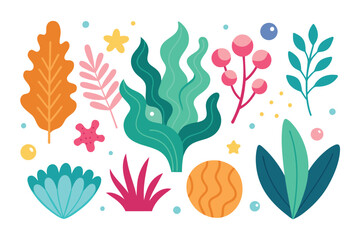 a collection of seaweeds and corals.