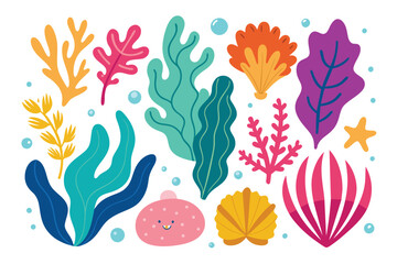 Collection of seaweeds and corals.