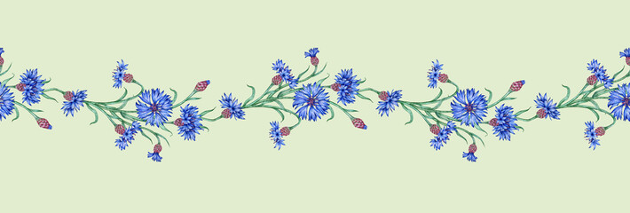 Cornflowers flowers blue pattern horizontal gray background watercolor illustration. Botanical composition element isolated from background. Suitable for cosmetics, aromatherapy, medicine, treatment