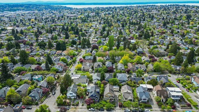 Flying over a Seattle suburban neighborhood on a sunny spring day, with a view of Puget Sound in the distance