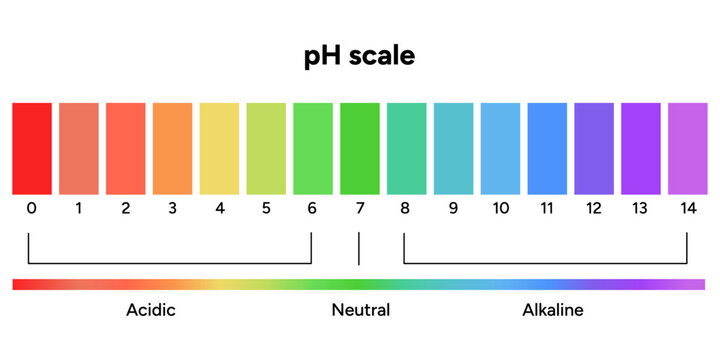 Ph scale infographic acid and alkaline diagram