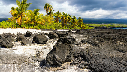 Palm Trees And The Volcanic Shoreline of Alahaka Bay at Puuhonua o Honaunau NHP, Hawaii Island,...