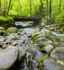 Roaring Fork Stream Cascading Over Moss Covered Boulders, Roaring Fork Nature Trail, Great Smoky...