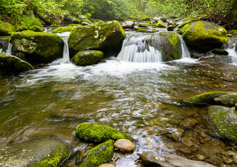Roaring Fork Stream Cascading Over Moss Covered Boulders, Roaring Fork Nature Trail, Great Smoky Mountains National Park, Tennessee, USA