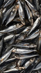 Obraz premium Large load of anchovy thrown on a big pile as they are being sold on the fish market. Anchovys in a fish market.