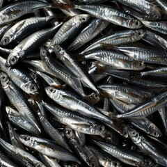 Obraz premium Large load of anchovy thrown on a big pile as they are being sold on the fish market. Anchovys in a fish market.