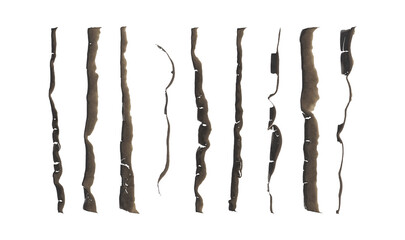 Isolated burned paper edges, linears stripes png burnt shapes in vintage olded style for posters, greeting cards, banners in Y2K