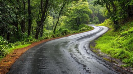 Obraz premium winding country road flanked by lush greenery, inviting travelers on a scenic journey.