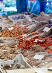 Selling Fresh Seafood at Market in Sicily Italy