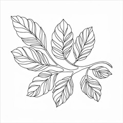 A drawing of a floral background with leaves