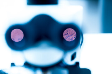 Selective focus human cells tissue in eyepiece of microscope in laboratory.Examining histological...