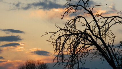 Obraz premium sunset in the field