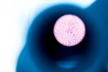 Selective focus human cells tissue in eyepiece of microscope in laboratory.Examining histological...