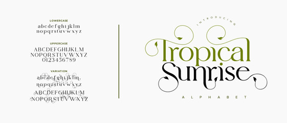 Tropicalsunrise elegant font alphabet uppercase lowercase and number. Classic lettering minimal fashion designs. Typography modern serif fonts regular decorative vintage concept. Vector illustration