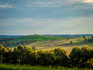 Naklejka premium Yarra Valley Greenery Late Afternoon
