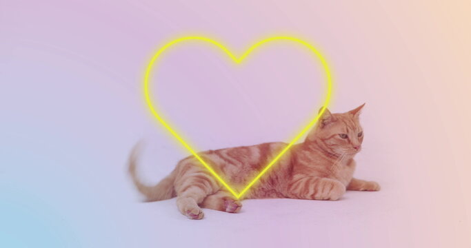 Image of falling hearts icon over ginger cat