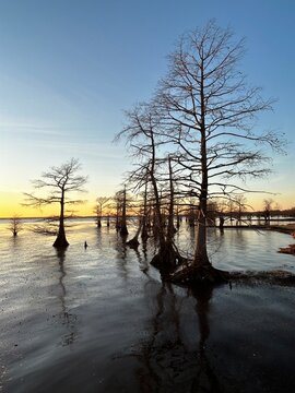 Cyprus sunset in Oil City Louisiana 